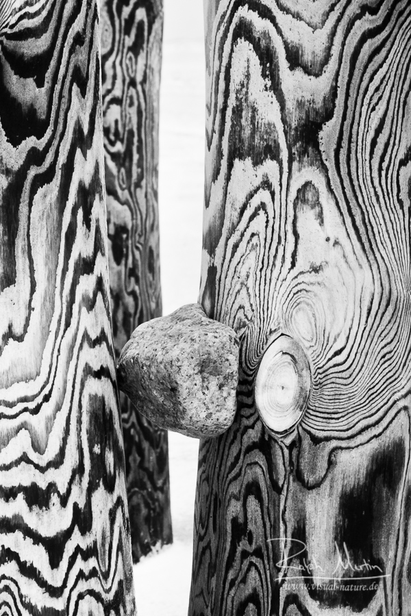 Wood at the beach of Sylt, Germany